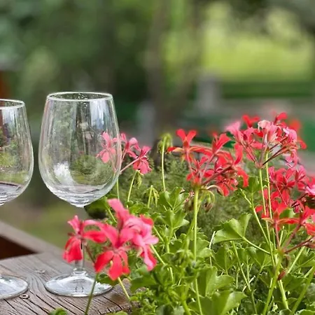 Отель Paradiesquelle