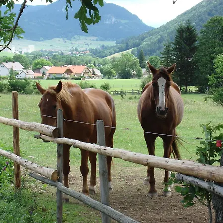 Paradiesquelle Schneeberg 호텔