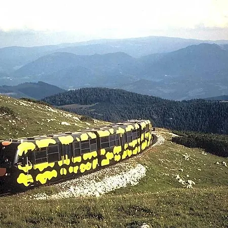 Paradiesquelle Schneeberg Hotel 4*