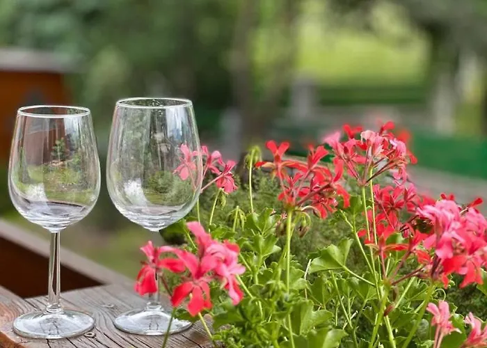 Hotel Paradiesquelle Schneeberg