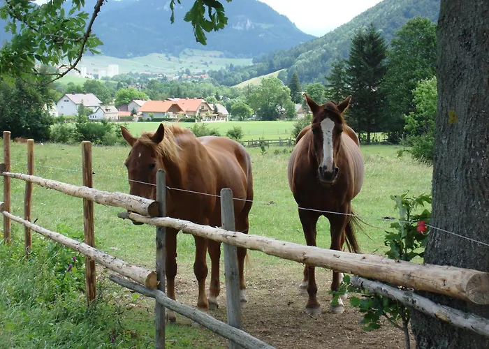 Paradiesquelle Schneeberg Hotel
