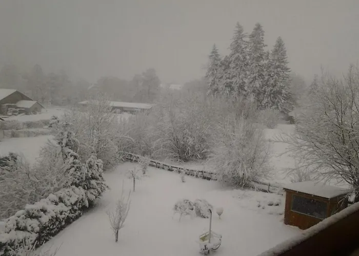 Hotel Paradiesquelle Schneeberg 4*